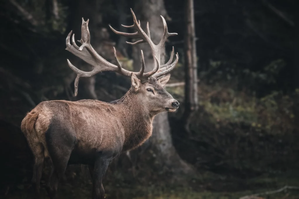 Natuurorganisatie Sustainablejobs.nl